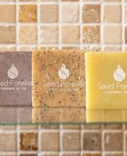 SEED FOREVER image 11