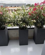 Le Petit Paysagiste image 5