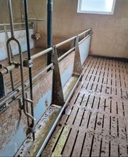 Clean BY BM Bild 5