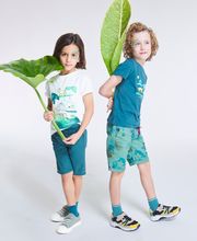 OKAIDI ZARAGOZA PUERTO VENECIA imagen 11