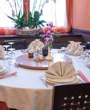 Gallery Professionale