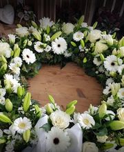 Duttweiler Jürg Bild 6