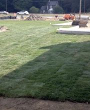 Browder-Hite image 4