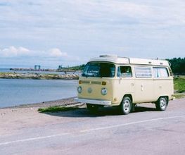 C3101.jpg