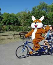 Camping Sites et Paysages le Moulin image 5