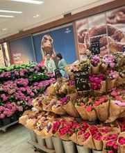 BLUME2000 Böblingen Bild 1