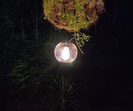 310481783-1-4CQl5Z0g7B1785311213415.jpeg