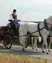 Köchli Heinrich Bild 1