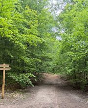 FriedWald Lehnin Bild 5