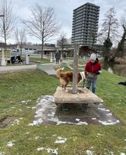 4happypets.ch, Inhaberin Schön Bild 10