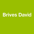 Brives David