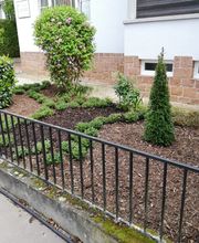 Holger Eilers Friedhofsgärtnerei Bild 2