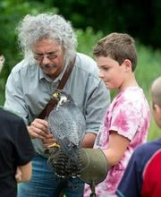 ViaAniMenTi Heilpraxis & Falknerei Bild 5