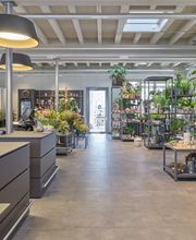 Heilsarmee Buchseegut Bild 2