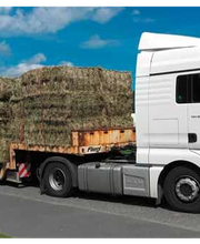 Blinzler Uwe Transporte Bild 3