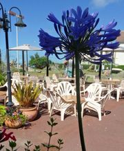 Golf Miniature SARL image 11