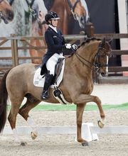 Joana Peterka Dressage Bild 6