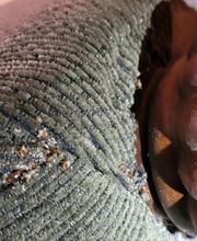 Windy City Bed Bug Specialists image 4