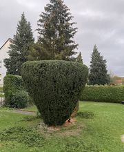 J&T Garten&TerrassenHelden Bild 5