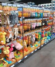 Tom&Co Cholet - Animalerie - Toilettage - Dogwash image 3