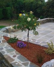 PAYSAGE 2000 image 3