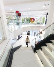 General Optica - Visión y Audición imagen 8