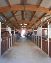 Ecurie Du Pays D'orthe image 3