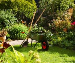 Royal Garden Bild 4