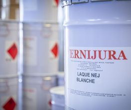 VERNIJURA image 1