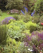 Hacker Jürgen Bild 1