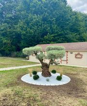 Les Paysages d'Hugo image 9