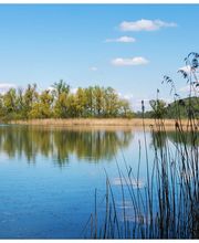 Gemeindeschreiberei Einwohnerkontrolle Kallnach Bild 10