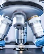 PIRMINIUS ® Schädlingsbekämpfung Bild 6