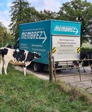 Membrez Déménagements Sàrl Bild 12