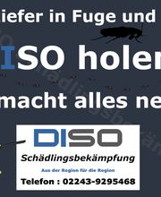 DISO Schädlingsbekämpfung Bild 7