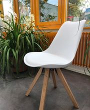 Kleintierpraxis Rhenus Bild 7