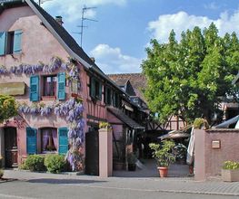 Le Marronnier image 6