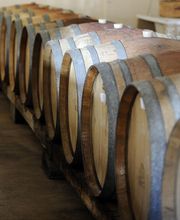 DEMAZET LA CAVE - DEMAZET VIGNOBLES image 5