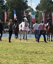 SDV Sicherheit Valletta Bild 6