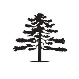 MAISON ALBERT SOUNIT