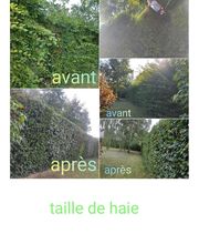 Vert Expert image 4