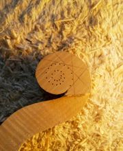 Thomas Billoux Luthier image 4