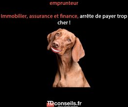 TD Conseils image 4