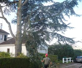 D'une branche à l'autre image 3