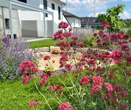 Gartenbau