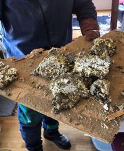 Halt'O Guêpes 67 image 4