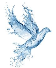 Karl Stüssi Sanitär AG Bild 1