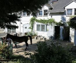 Reitschule Lautlos Bild 2