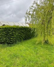 Espace Vert Nagy image 13