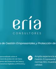 ERIA Consultores imagen 9